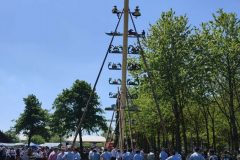 2025_Maibaum_20