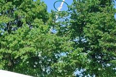2025_Maibaum_24